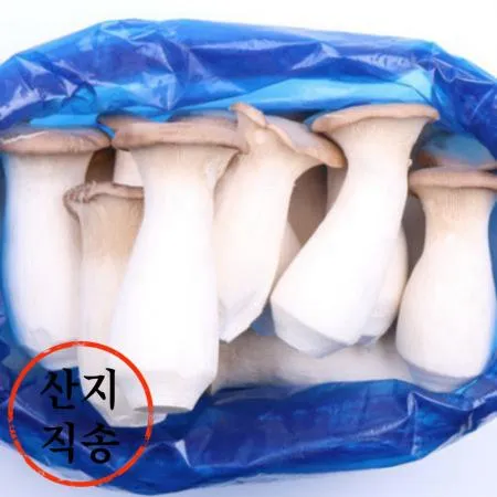 새송이 버섯 2kg (특,국내산)BOX