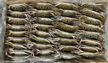 삼점게 6kg (80/100,냉동) 점박이 꽃게 숫게