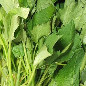 취나물 4kg (국내산)BOX