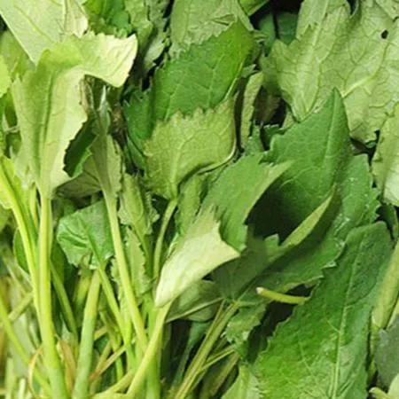 취나물 4kg (국내산)BOX