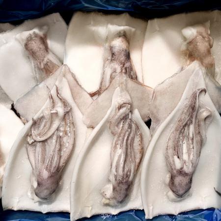 할복 오징어 4kg 중국산 손질