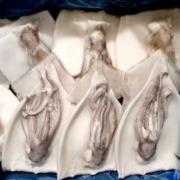 할복 오징어 4kg 중국산 손질