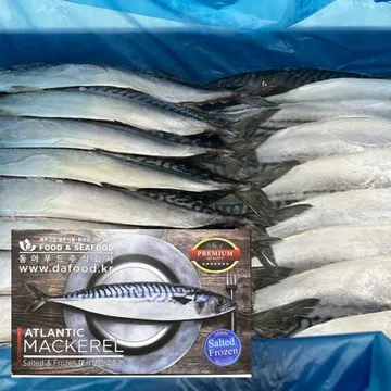 자반고등어(중/노르웨이산) 10손/박스