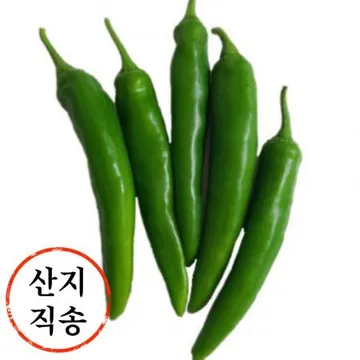 아삭이고추 1kg (오이고추,특,국내산) 아삭이 고추