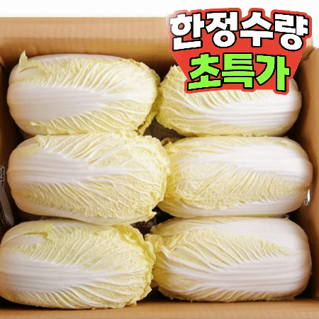 알배기 쌈배추 8kg (특,국내산)BOX