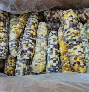 삶은 냉동 옥수수 18kg (알록이,60개입 혼합)