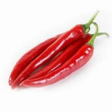 홍청양고추 1kg (홍고추,국내산)