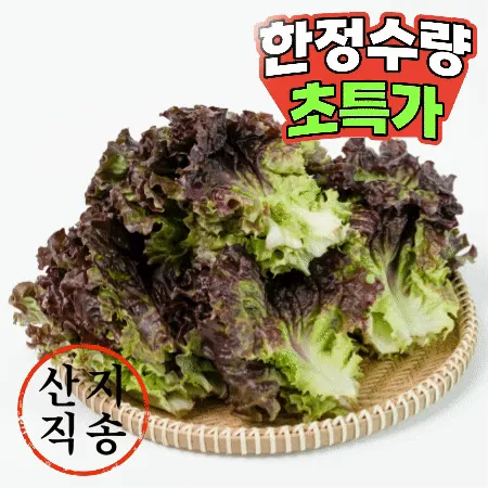 꽃상추 1kg (특,국내산) 꽃 상추