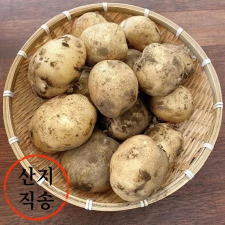 감자 1kg (왕특,국내산)