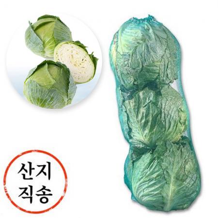 양배추 3개입(38망,소,국내산)