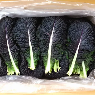 적겨자 2kg (상,국내산) 적 겨자잎 쌈채소 BOX