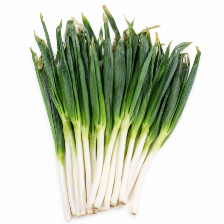 ★B급상품 특가★ 손질 깐대파 10kg (수입산) 깐 대파