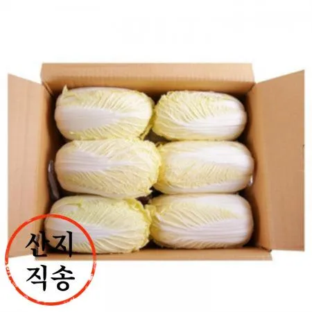 알배기 쌈배추 6kg (상,국내산)BOX