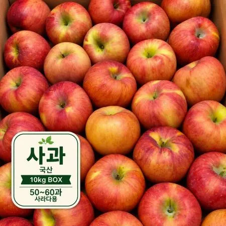 사과 10kg (50~60과) BOX 국산 사라다용 주스용 쥬스