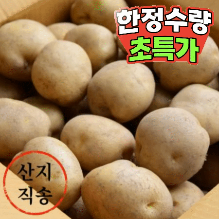 감자 20kg (대,국내산)BOX