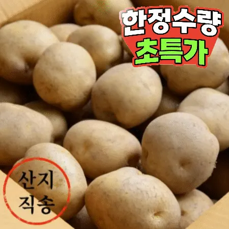 감자 20kg (대,국내산)BOX