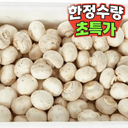양송이 버섯 2kg (특,국내산)BOX