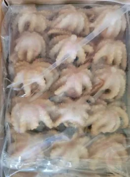 냉동 쭈꾸미 180g 15미 (20/30) 주꾸미