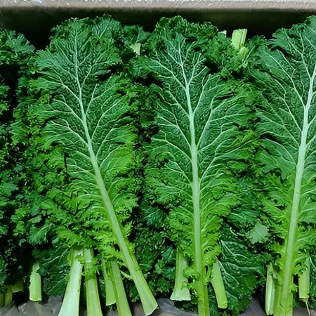 청겨자 2kg (상,국내산) 청 겨자잎 쌈채소 BOX 이미지