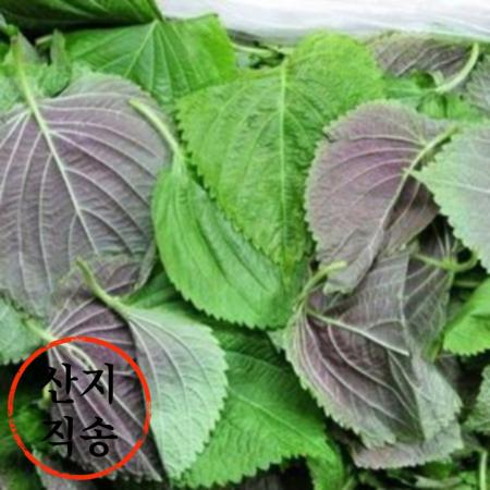 잎바라 깻잎 4kg (국내산)BOX 이미지