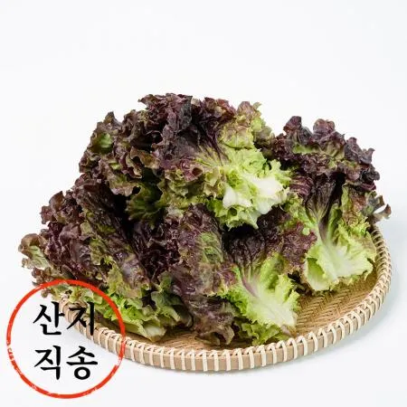 꽃상추 1kg (특,국내산)