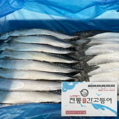 자반 고등어 5kg (중, 중중/10손,냉동) 노르웨이 네덜란드
