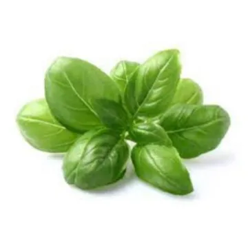 바질 10g (팩,허브,국내산)