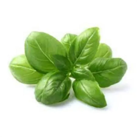 바질 10g (팩,허브,국내산)