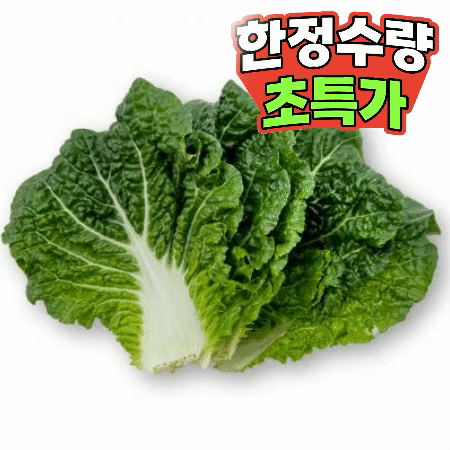 쌈추 1kg (특,국내산) 쌈배추