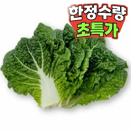 쌈추 1kg (특,국내산) 쌈배추