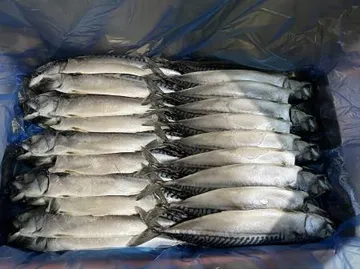 냉동 손질 노르웨이 자반 고등어 10손 (대)