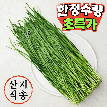 국내산 부추 10kg (약20단)