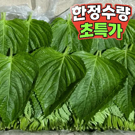 깻잎 1kg (찹찹이,국내산)BOX