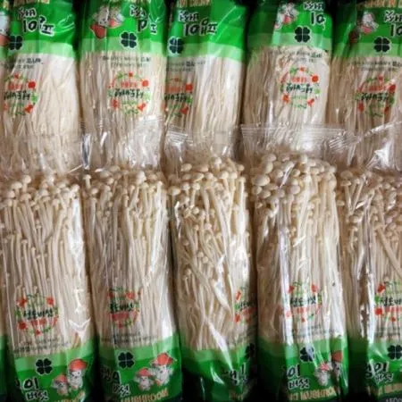 팽이 버섯 5kg (국내산)BOX 팽이버섯