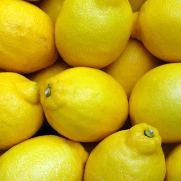 생레몬 17kg 1박스 (140과, 수입산) BOX 생과용