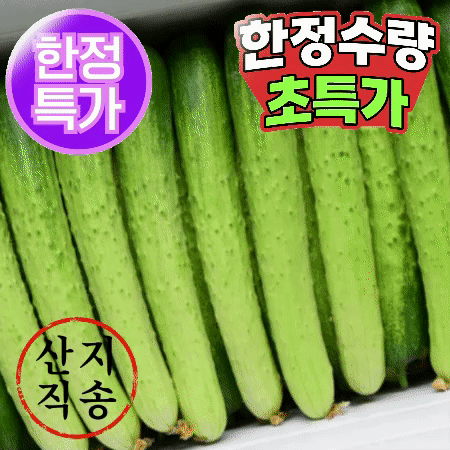 ★초특가★ 백오이 10kg (특,약 50개,국내산)BOX 백 오이