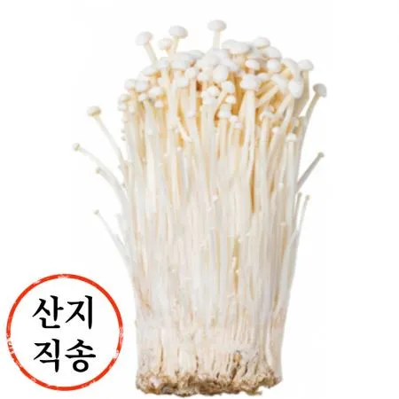 팽이 버섯 5kg (국내산)BOX