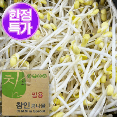 ★초특가★ 일자 콩나물 3.5kg (±200g)