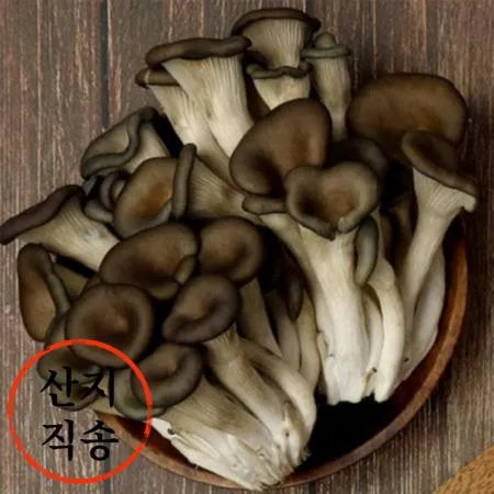 꽃 느타리버섯 2kg (국내산)