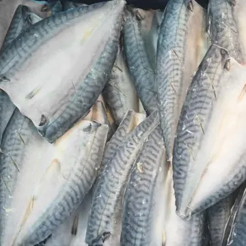 손질 노르웨이고등어 10kg 손질 반 고등어 필렛