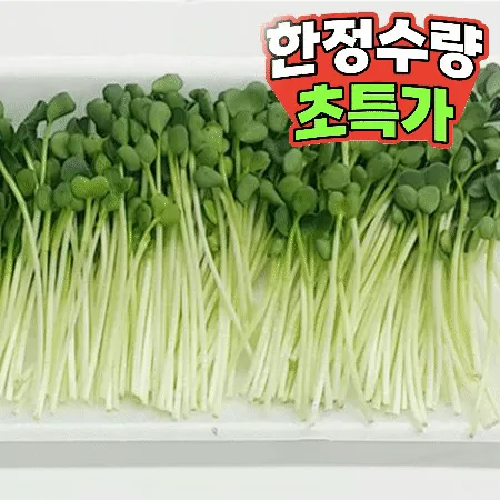 무순 150g (중,국내산)
