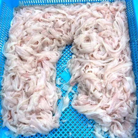 국산 물가자미회 300g 자연산 미주구리 막회 기름가자미 회무침 회덮밥 생선회 세꼬시 물회 이미지