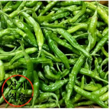 꽈리고추 1kg (특,국내산)