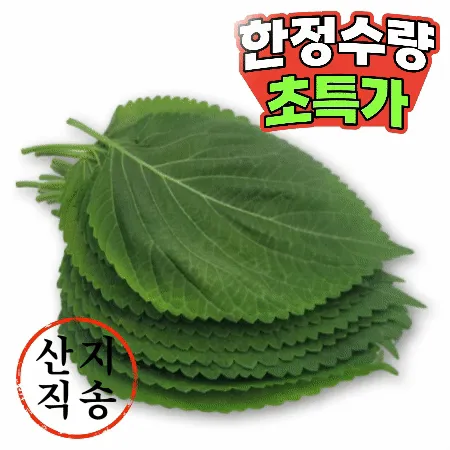 깻잎 1속_10장 (국내산)