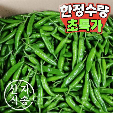 청양고추 10kg (상,국내산)BOX