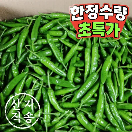 청양고추 10kg (상,국내산)BOX