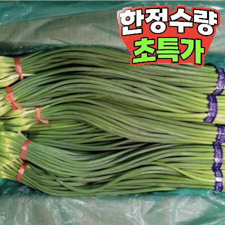 마늘쫑 10단 (수입산)BOX