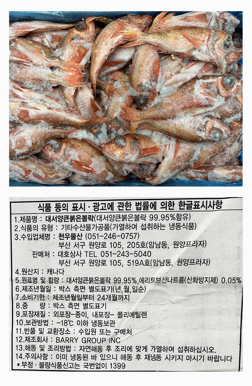 붉은 볼락 12kg (100/200,65미,적어,냉동) 고시정보