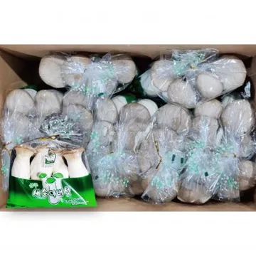 국내산 새송이 버섯 4kg (400g*10봉) BOX