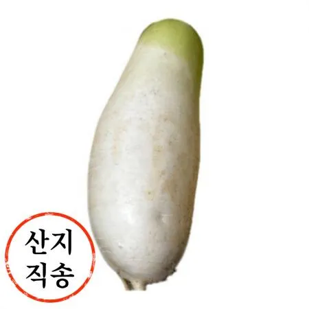 무우 낱개 1개 (특,국내산)